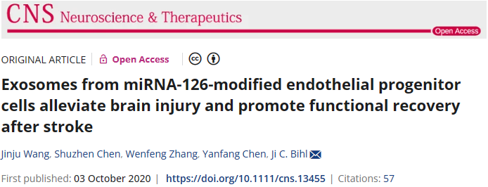 miRNA-126修饰内皮祖细胞的外泌体可减轻脑损伤并促进中风后功能恢复