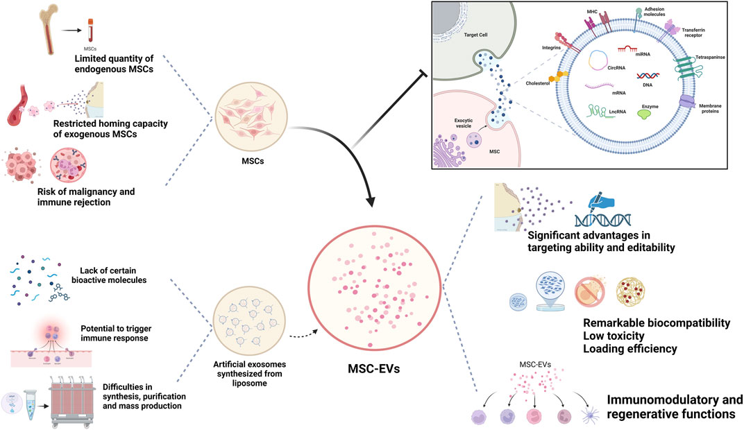 图1:MSC-Exos作为药物载体的生物学优势。 图1:MSC-Exos作为药物载体的生物学优势。