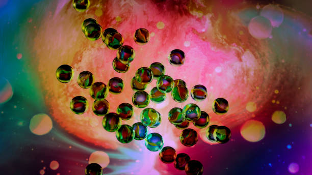 胚胎干细胞 胚胎干细胞