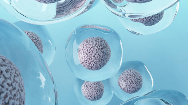 羊膜干细胞疗法有效吗？