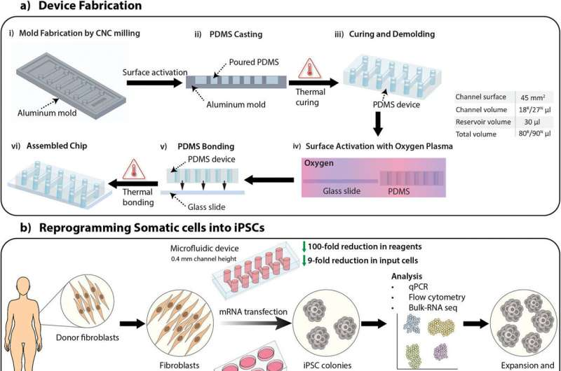 新设备改善了干细胞的生成，为阿尔茨海默氏症细胞疗法提供了机会