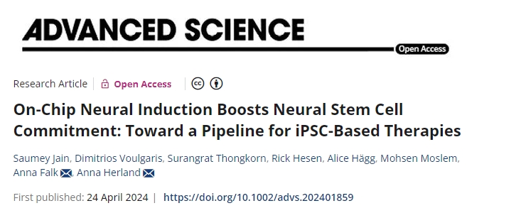 片上神经诱导增强了神经干细胞的承诺：迈向基于iPSC的疗法的管道