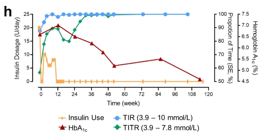 116周期间 TITR、TIR 和 HbA1c 以及胰岛素剂量的临床测量值 116周期间 TITR、TIR 和 HbA1c 以及胰岛素剂量的临床测量值