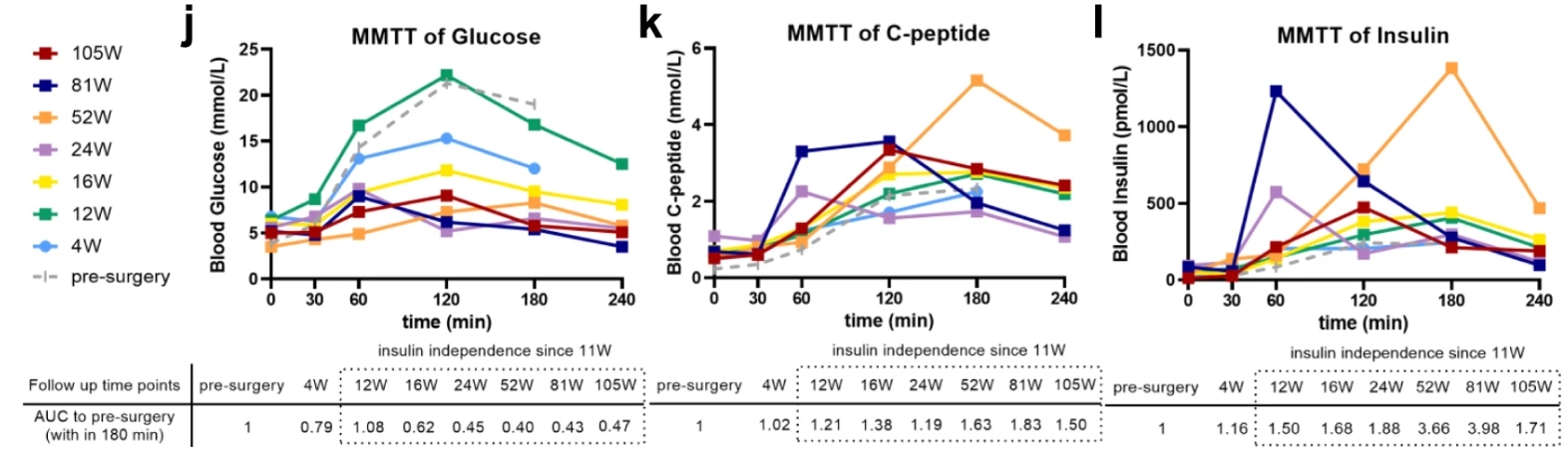 来自 MMTT 测定的血清空腹和进餐刺激的循环葡萄糖、C 肽和胰岛素水平 来自 MMTT 测定的血清空腹和进餐刺激的循环葡萄糖、C 肽和胰岛素水平