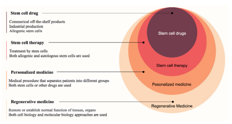图1：再生医学中的干细胞药物