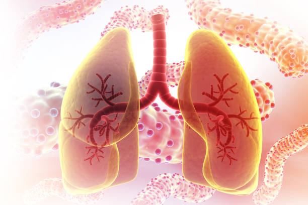 获得国家药监局批准！广州医科大学附属第一医院正在开展人脐带源间充质干细胞注射液治疗IPF临床研究