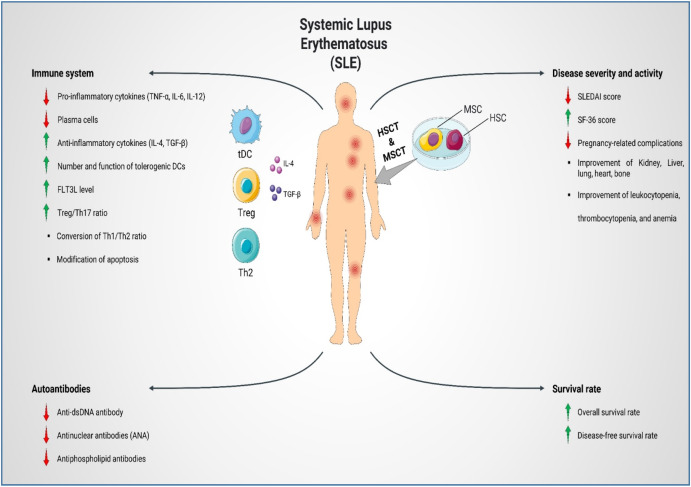 图1：SLE患者的疾病发病机制、严重程度和活动性。