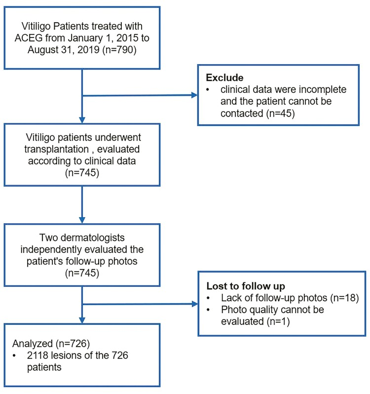 图1:自体干细胞移植治疗白癜风的流程图 图1:自体干细胞移植治疗白癜风的流程图