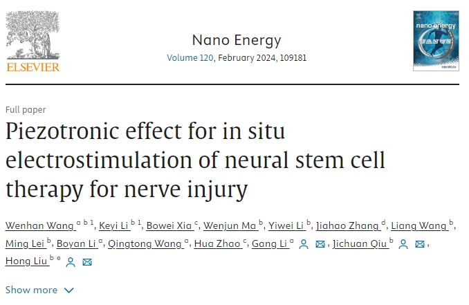 压电效应在神经干细胞原位电刺激治疗神经损伤中的应用