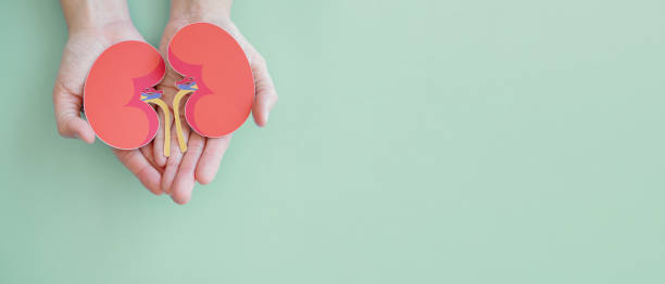 慢性肾病治疗，你了解这6种方法吗？