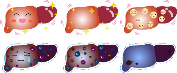 肝衰竭：急性和慢性有什么分别？