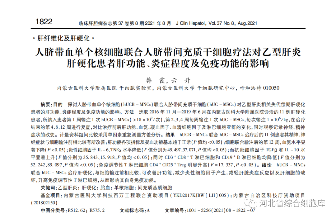 人脐带血单个核细胞联合人脐带问充质干细胞疗法对乙型肝炎肝硬化患者肝功能、炎症程度及免疫功能的影响 人脐带血单个核细胞联合人脐带问充质干细胞疗法对乙型肝炎肝硬化患者肝功能、炎症程度及免疫功能的影响