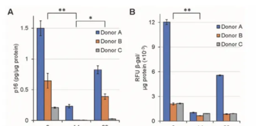 NK细胞输注前、输注后第14天和第90天的p16和β-半乳糖苷酶含量。 NK细胞输注前、输注后第14天和第90天的p16和β-半乳糖苷酶含量。