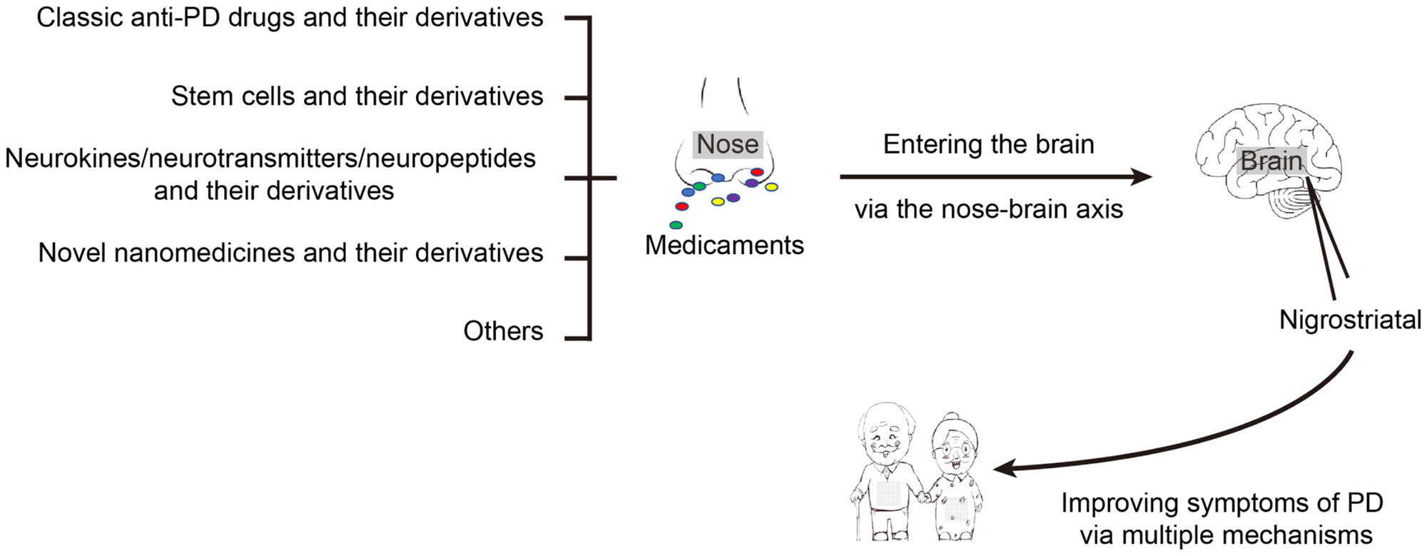 图1：鼻内治疗：帕金森病（PD）的有希望的选择