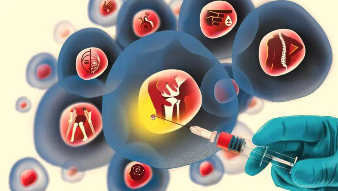 干细胞与再生医学