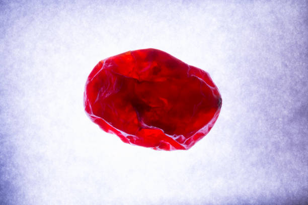 什么是血脑屏障？间充质干细胞是否具备穿过血脑屏障的能力？