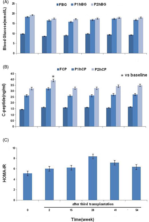 图2：馒头餐试验中糖代谢及胰岛功能的变化。