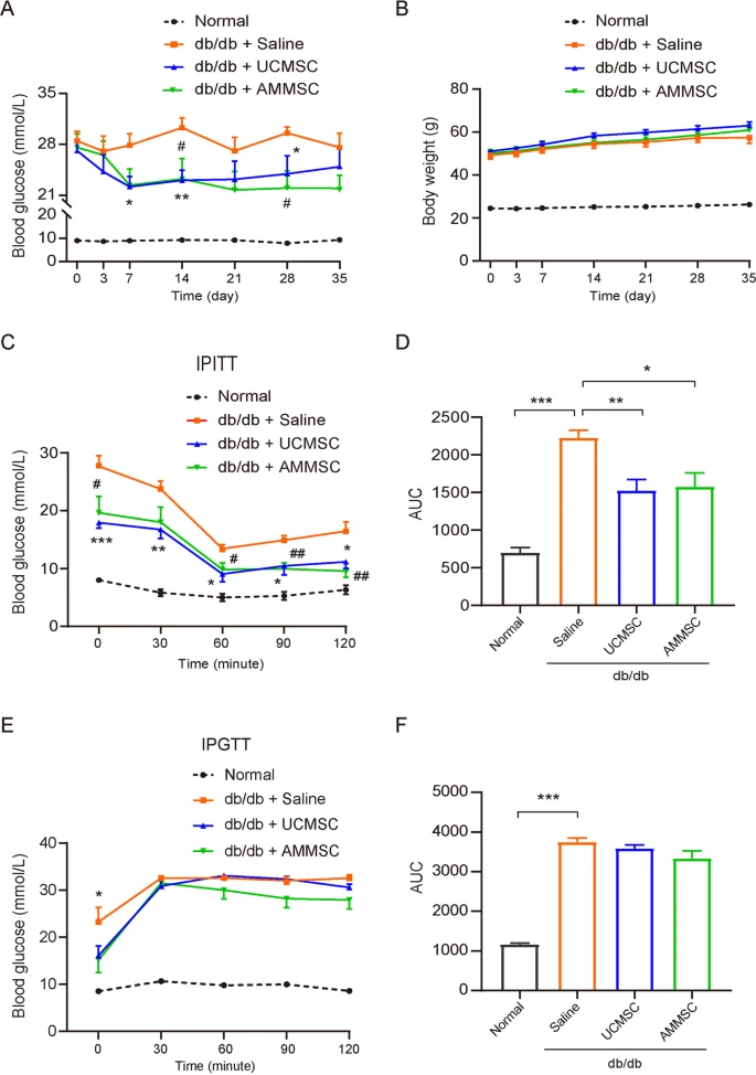 图1：小鼠在AMMSC或UCMSC给药后的代谢表型。