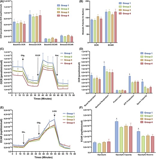 图3：从对照组和2型糖尿病 (T2DM) 患者中分离的骨髓间充质干细胞 (BM-MSC) 的代谢概况。