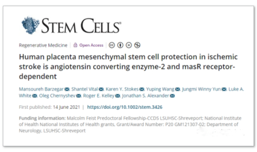 人胎盘间充质干细胞对缺血性中风的保护作用是血管紧张素转换酶-2 和 masR 受体依赖性的