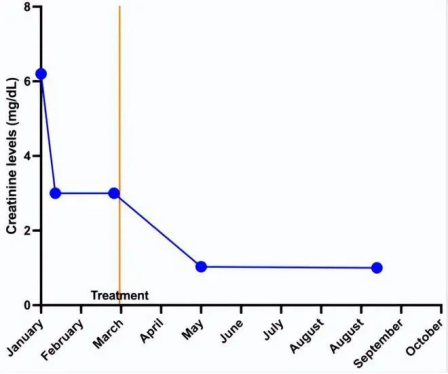 干细胞治疗慢性肾病的治疗效果如何? 干细胞治疗慢性肾病的治疗效果如何?