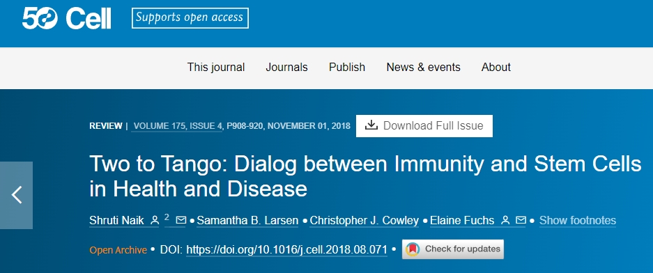 探戈二人行：健康和疾病中免疫和干细胞之间的对话