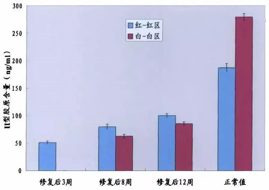 不同时间点修复组织红-红区与白-白区II型胶原表达量
