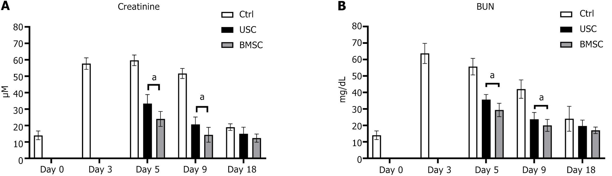 图3：肾功能评估。