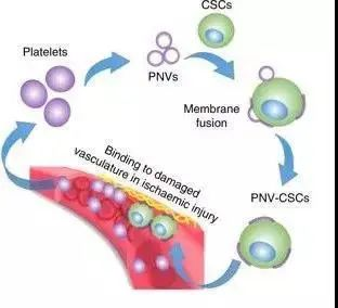 2018年干细胞治疗心血管疾病临床案例
