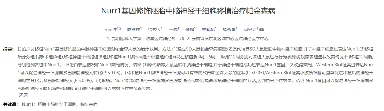 Nurr1基因修饰胚胎中脑神经干细胞移植治疗帕金森病