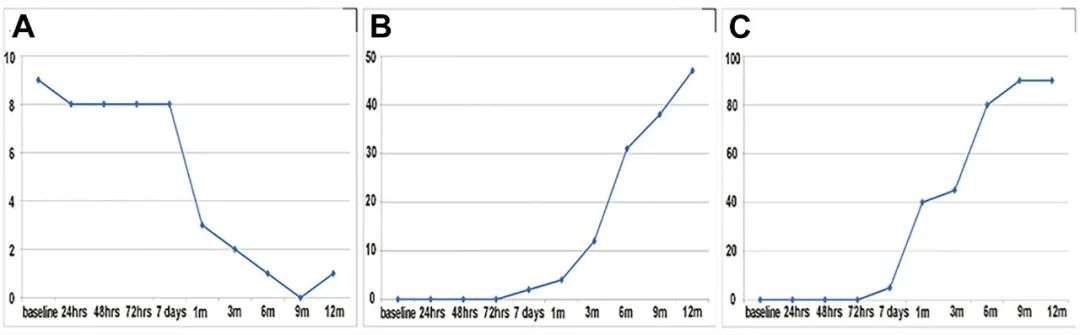 1、3、6 和12个月随访以评估NIHSS评分、神经功能和MRI结果。 