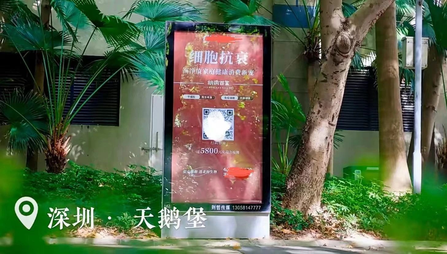 这些政策的出台，为深圳的细胞和基因治疗领域再次注入了新的活力。