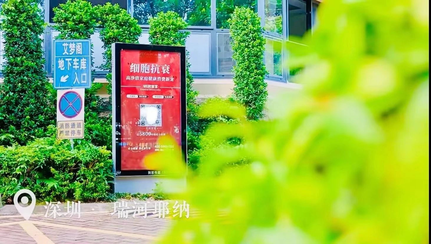 深圳的细胞治疗和健康管理产业必将迎来更加辉煌的未来