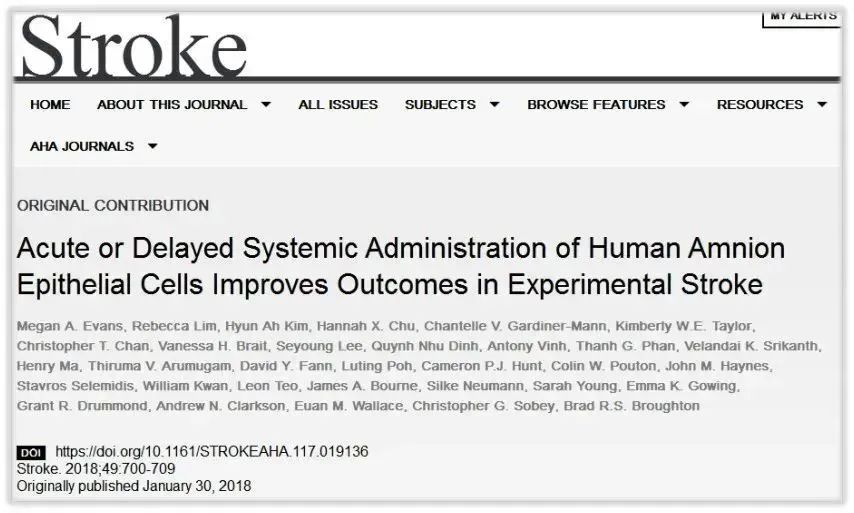 急性或延迟全身给药羊膜上皮细胞改善实验性脑卒中的预后