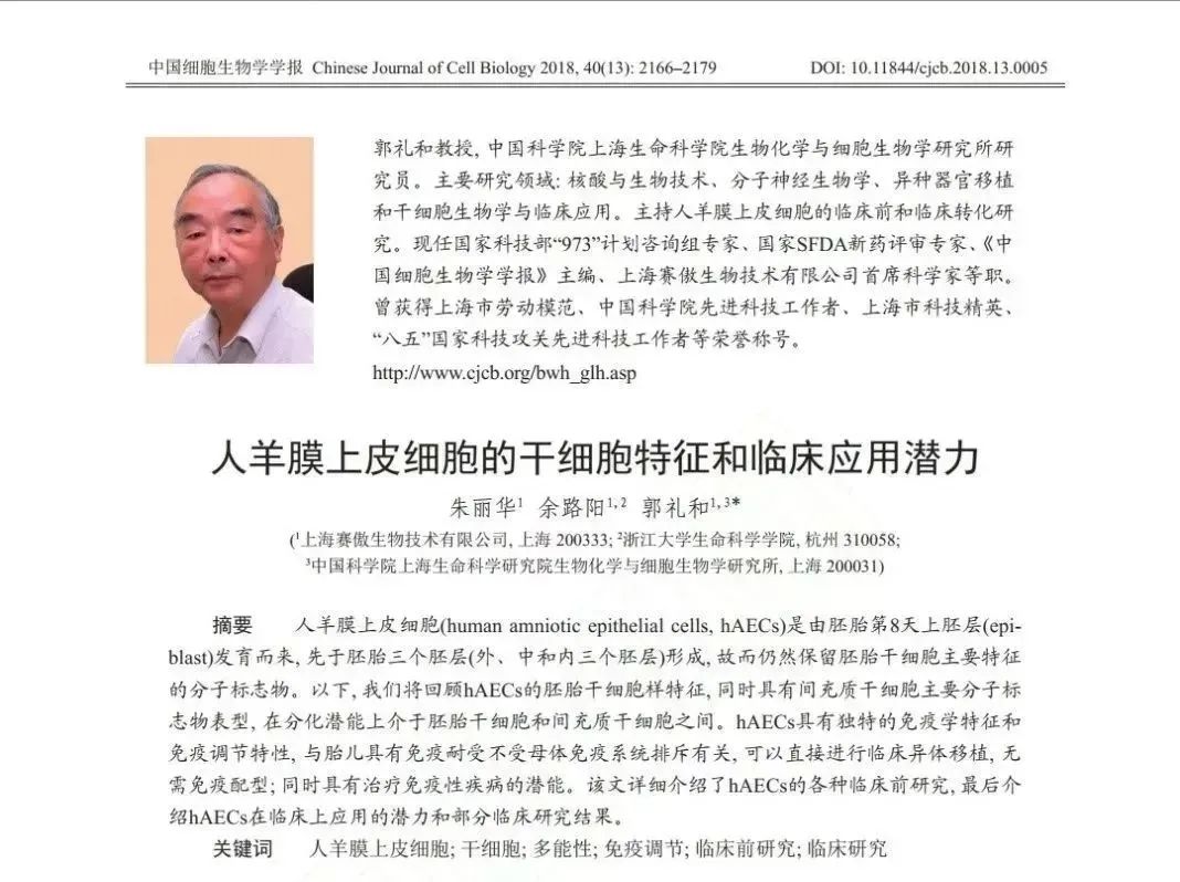 人羊膜上皮细胞的干细胞特征和临床应用潜力