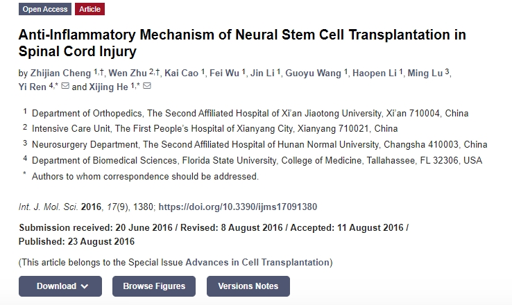 神经干细胞移植治疗脊髓损伤的抗炎机制