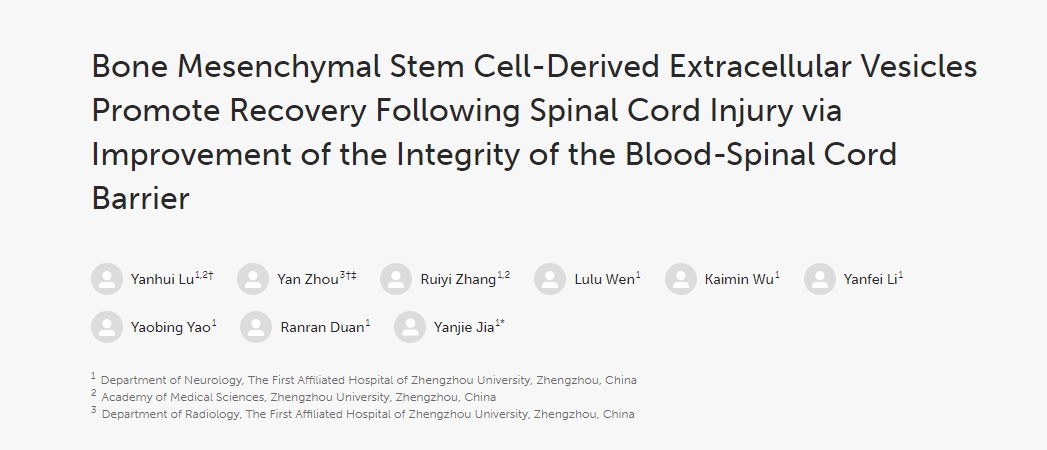 骨髓间充质干细胞衍生的细胞外囊泡通过改善血脊髓屏障的完整性促进脊髓损伤后的恢复
