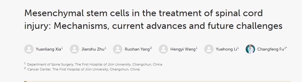间充质干细胞治疗脊髓损伤：机制、当前进展和未来挑战