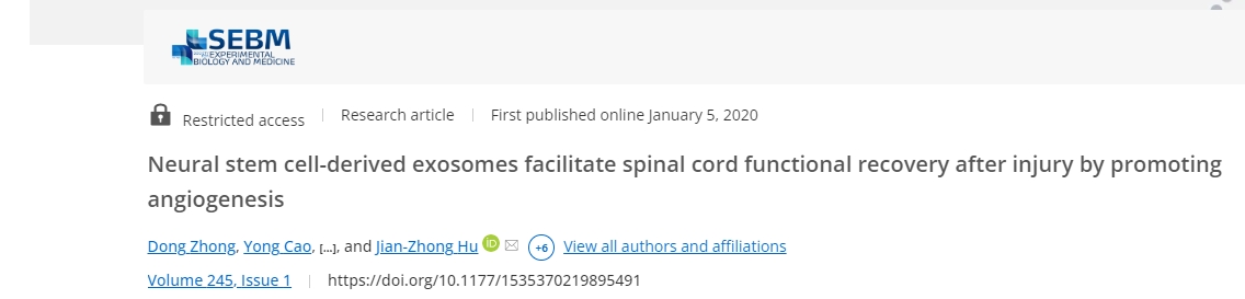 神经干细胞衍生的外泌体通过促进血管生成促进损伤后脊髓功能恢复