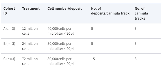 表1:治疗分配 表1:治疗分配