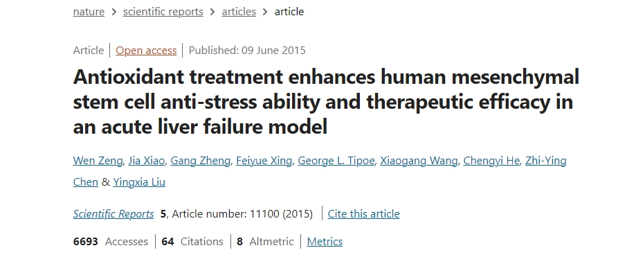 抗氧化治疗增强人类间充质干细胞在急性肝衰竭模型中的抗应激能力和治疗效果