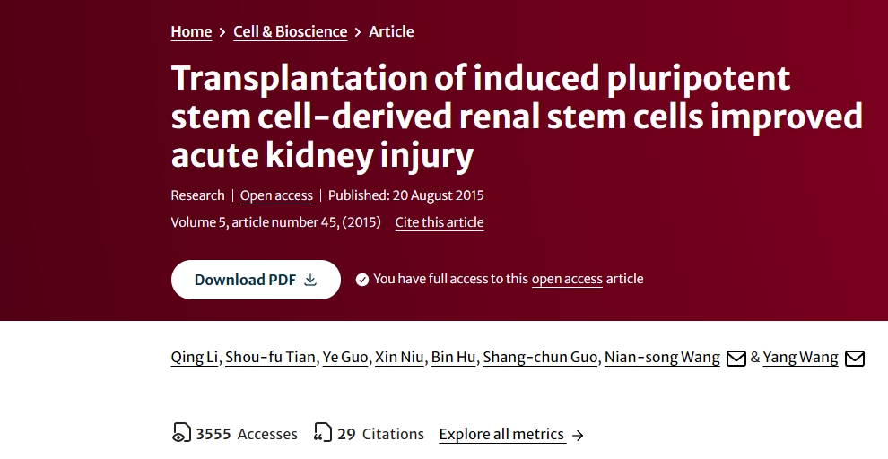 诱导性多能干细胞来源的肾干细胞移植改善急性肾损伤
