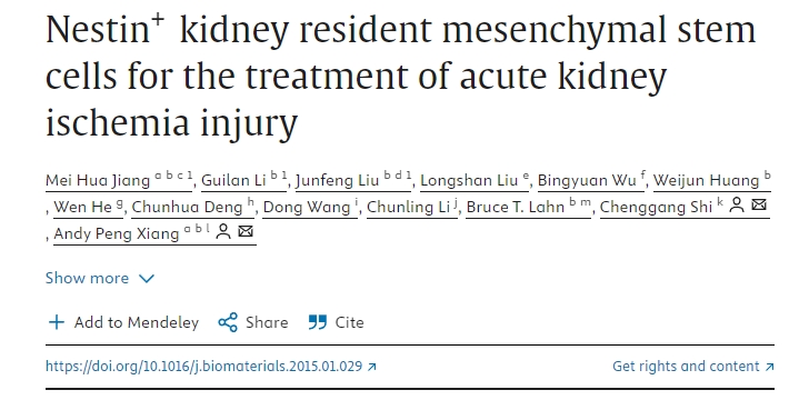 Nestin +肾脏驻留间充质干细胞治疗急性肾缺血损伤