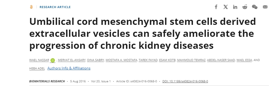 脐带间充质干细胞衍生的细胞外囊泡可以安全地改善慢性肾脏疾病的进展