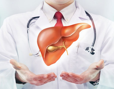 干细胞治疗肝硬化的新进展与前景如何？