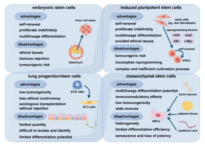 图2：不同类型干细胞的优点和缺点。