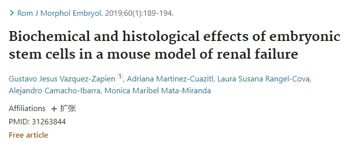胚胎干细胞在小鼠肾衰竭中的生化和组织学作用