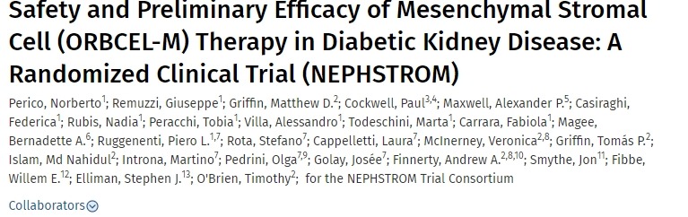 间充质干细胞治疗糖尿病肾病的安全性和初步疗效 间充质干细胞治疗糖尿病肾病的安全性和初步疗效