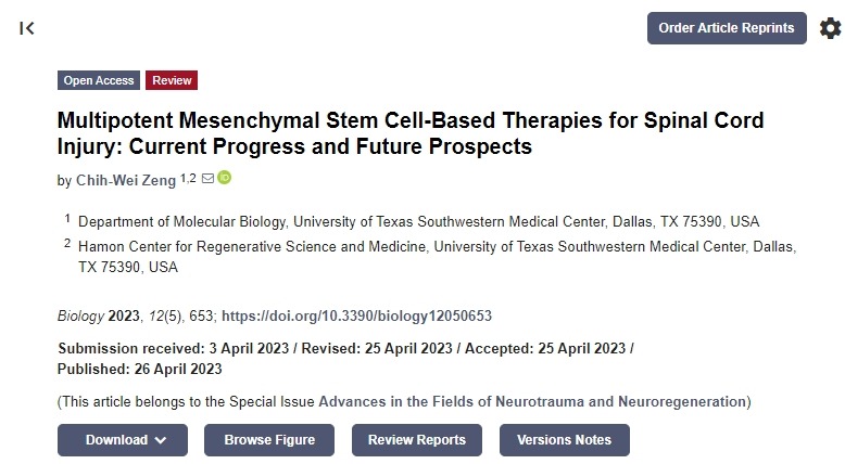 间充质干细胞治疗脊髓损伤:目前的进展和未来的前景 间充质干细胞治疗脊髓损伤:目前的进展和未来的前景