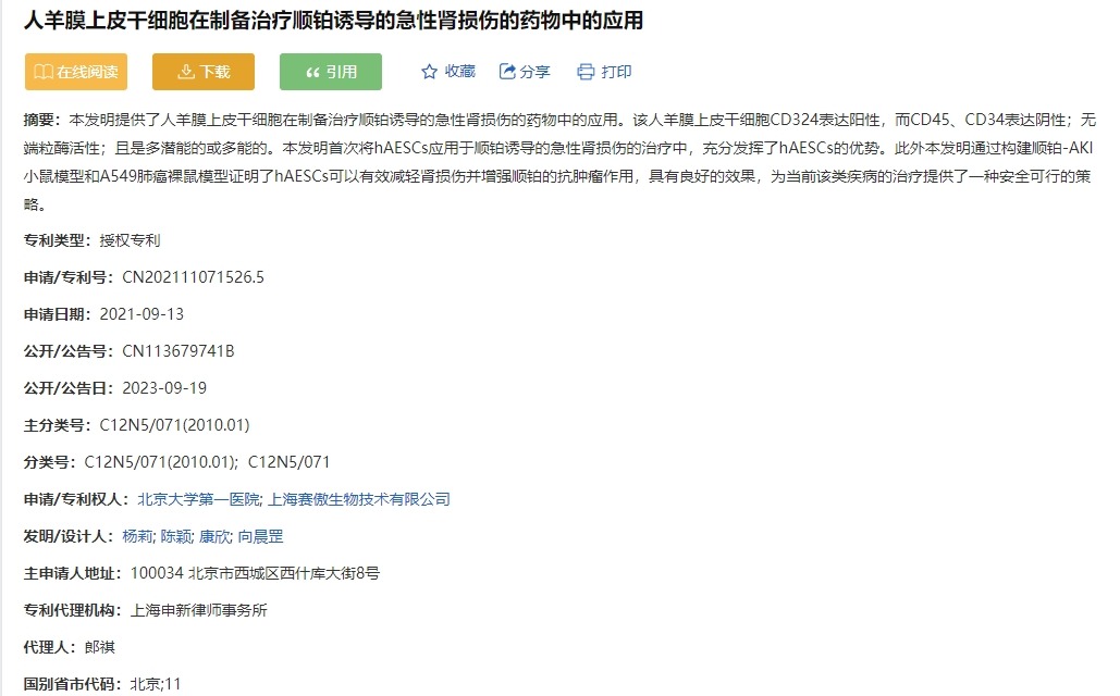 人羊膜上皮干细胞在制备治疗顺铂诱导的急性肾损伤的药物中的应用